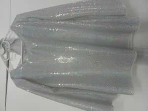Adult Female Costumes to Hire - Silver Bling Top - SMALL